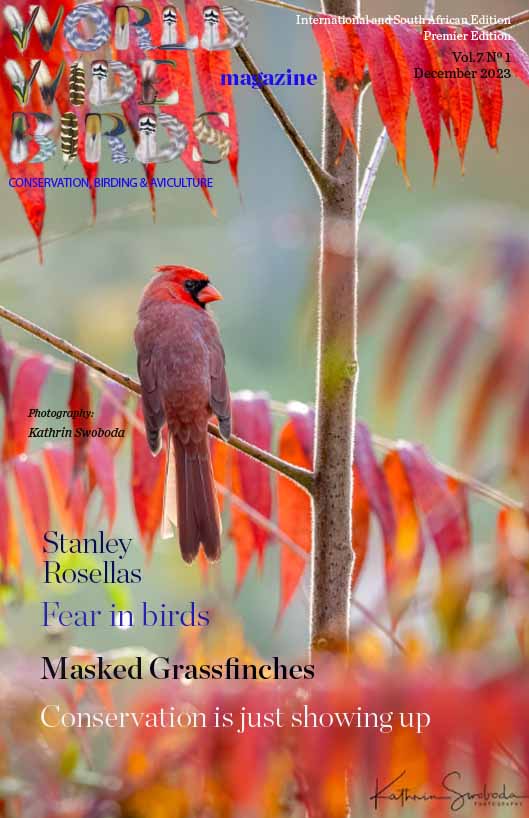 Pdf bird magazine Vol7 No1