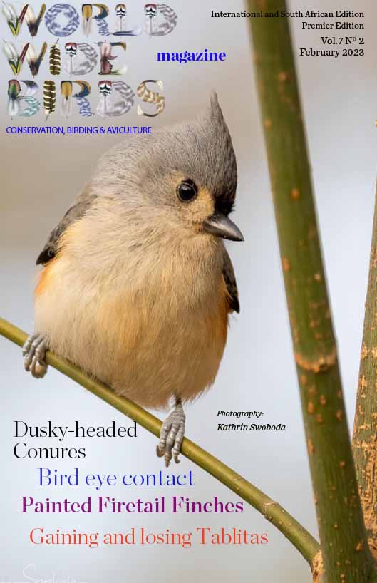 Pdf bird magazine Vol7 No2